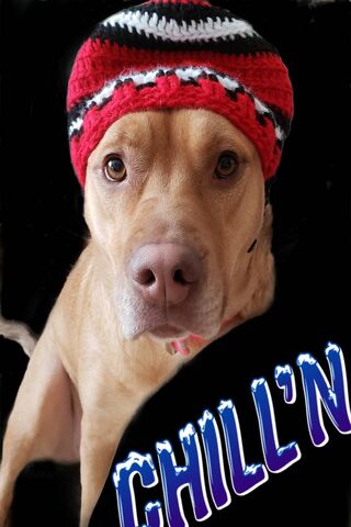 Chillin