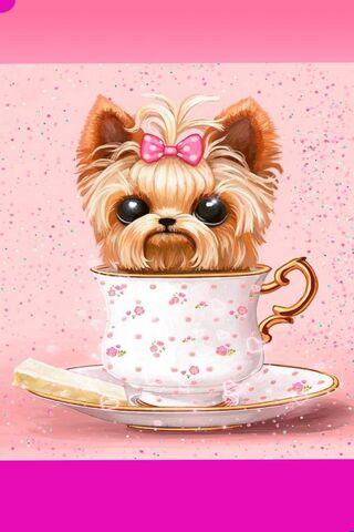 Adorable Yorkie in a Teacup 🐶☕