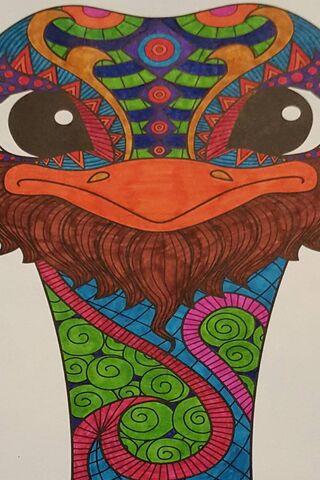 Rebellious Feathers: The Punk Rock Ostrich