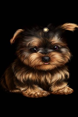 Adorable Yorkie: A Little Bundle of Joy! 🐾