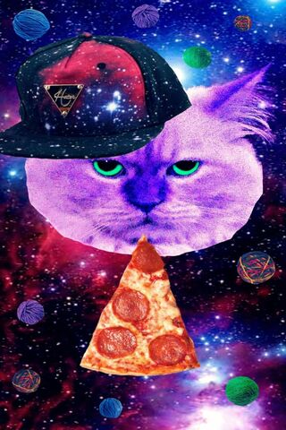Pizza Cat In Space