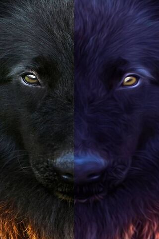 Duality of the Canine Spirit 🐾✨