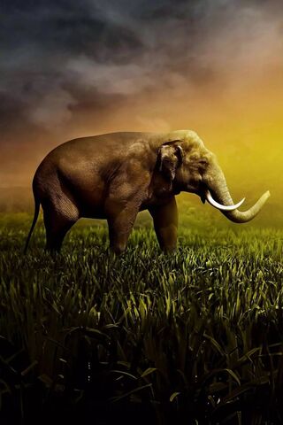 Majestic Giant of the Savanna 🌅🐘