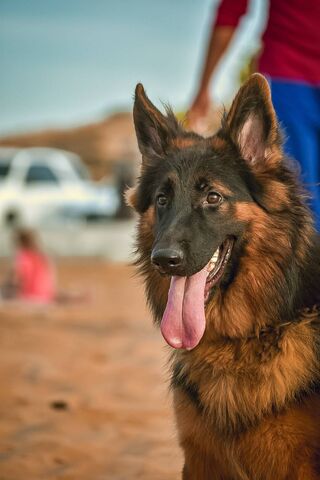 Desert Adventure with a..