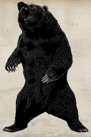 The Majestic Boz Ayi: Guardian of the Forest 🌲🐻