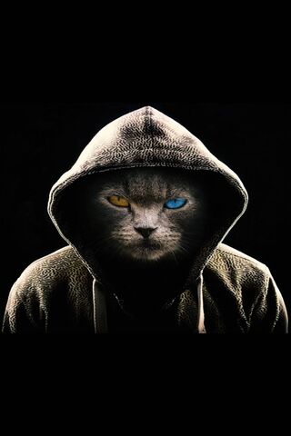 The Mysterious Devil Ca..