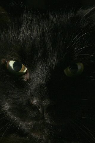 Mystery of the Midnight..