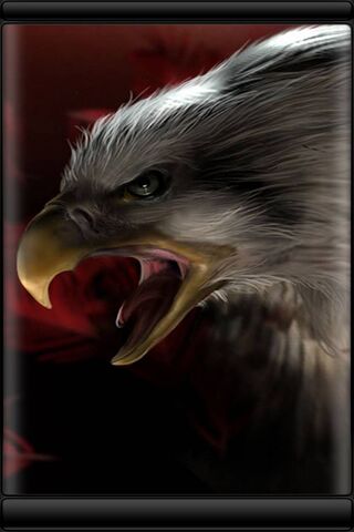 Majestic Majesty: The B..
