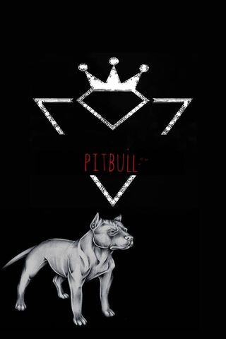 Pitbull Pride: Strength and Loyalty 🐾👑