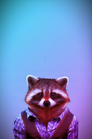 Dapper Raccoon: A Stylish Critter