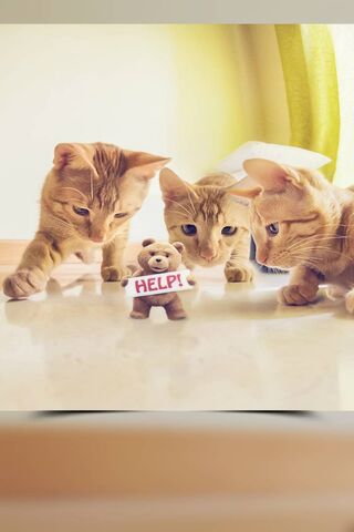 Feline Rescue Mission! ..