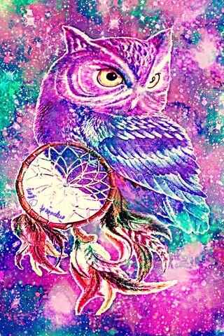 Mystical Dreams: The Dreamcatcher Owl 🌌🦉