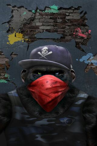 Urban Jungle Rebel 🐒