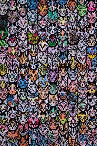 Feline Frenzy: A Colorful Cat Collage 🐱🎨