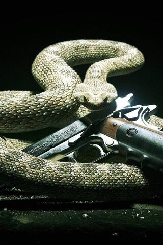 Serpent's Embrace: The Deadly Duo