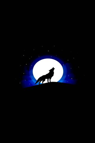 Howling at the Moon 🌕🐺