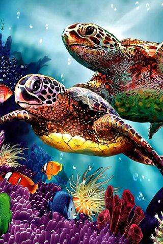 Phoneky Fond D Ecran De Deux Tortues De Mer Hd