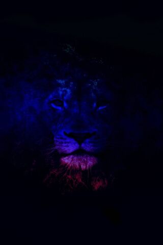 Majestic Glow: The Mighty Lion