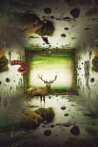 Inverted Wilderness: A Surreal Encounter 🌌🦌