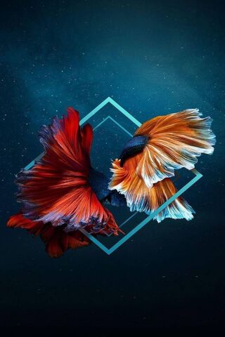 Fishes