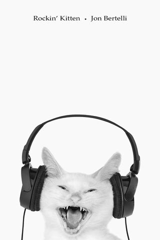 Purrfectly Rockin' 🎸🐾