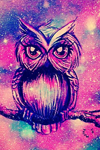 Starlight Owl