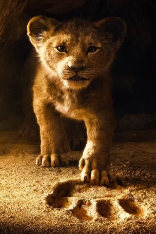 Le roi Lion