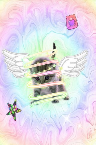 Whimsical Whiskers: A Dreamy Kitten Adventure! 🌈🐾