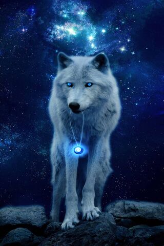 Featured image of post Wallpaper 4K Lobo Branco Lobo rtico s vezes chamado de lobo ou o lobo branco um belo animal polar do norte distante