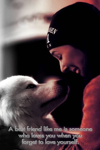 Unbreakable Bonds: Love Beyond Words ❤️🐾