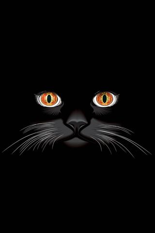 Cat Wallpaper - Download to your mobile from PHONEKY