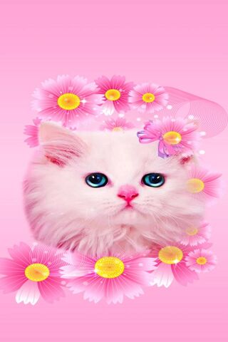 Floralkitty