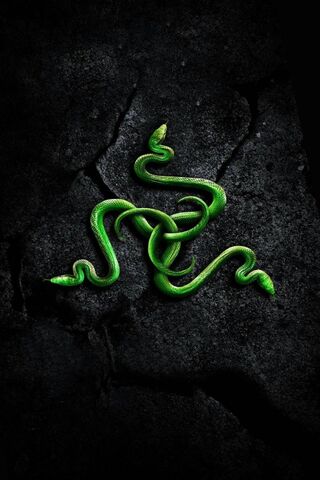 280 Snake HD Wallpapers and Backgrounds