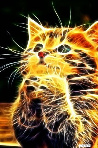 Phoneky Cat Abstract Hd خلفيات