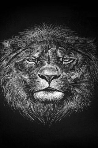 Majestic Roar: The Spirit of the Wild 🦁✨