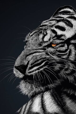 Majestic Stripes: The P..
