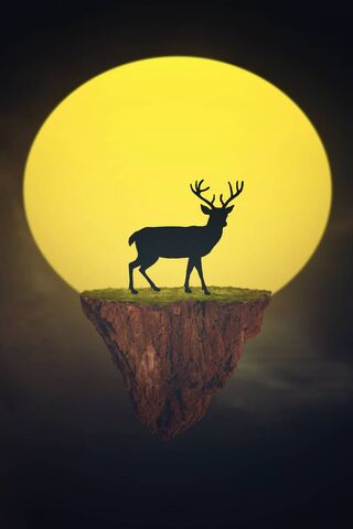 Deer and Sun