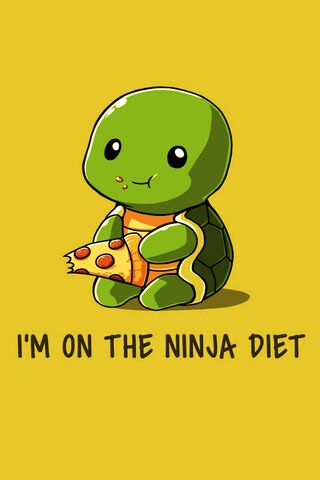 Ninja Diet