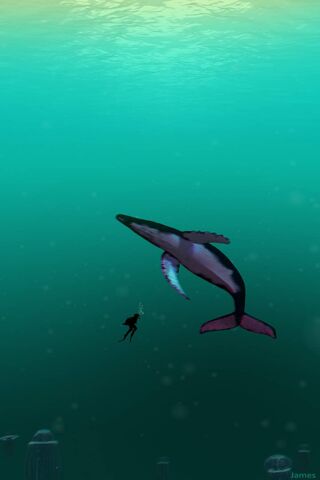 Mysteries of the Deep 🌊🐋