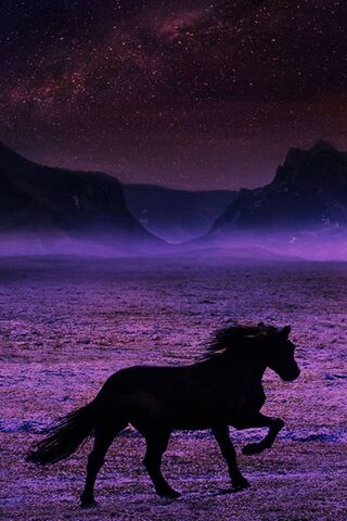 Breathtaking Horse