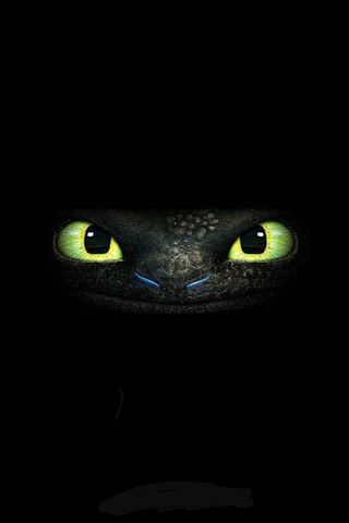 The Mysterious Gaze of Toothless 🐉✨