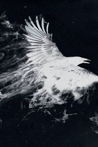 Ethereal Flight: The White Bird of Dreams