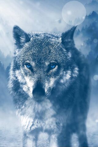 Mystical Blue-Eyed Guardian of the Forest 🌌🐺