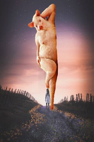 Whimsical Wonder: The E..