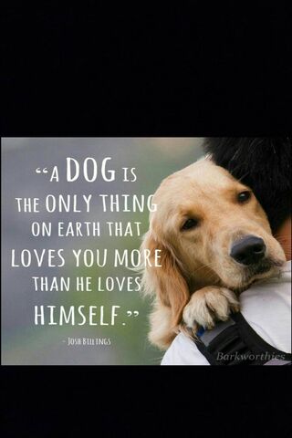 Unconditional Pawsitivity 🐾❤️