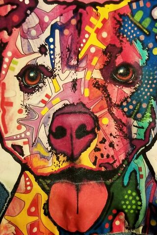 Vibrant Spirit: The Rainbow Pitbull 🌈🐾