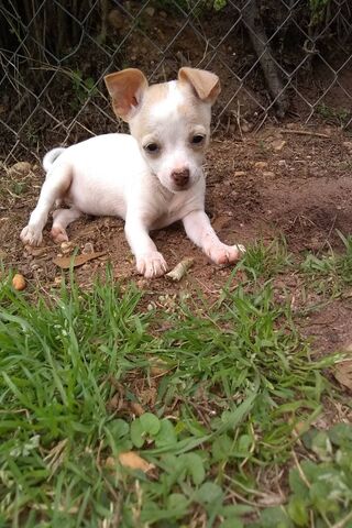 Cutei's Playful Adventu..