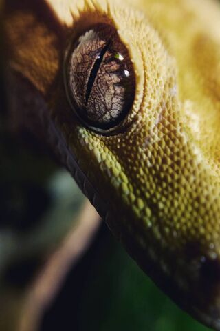 Watching You