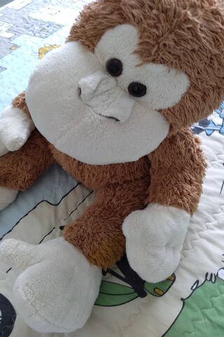 Chico the Cuddly Monkey 🐒❤️