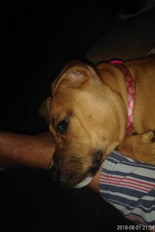 Mika's Cozy Moment 🐾❤️